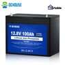 Литий-железо-фосфатный аккумулятор DC HOUSE (ECO-WORTHY) 12V 100Ah LiFePO4 Group 24 1280Wh 100A BMS